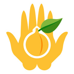 vector illustration of an orange fruit