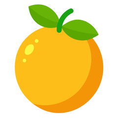 vector illustration of an orange fruit