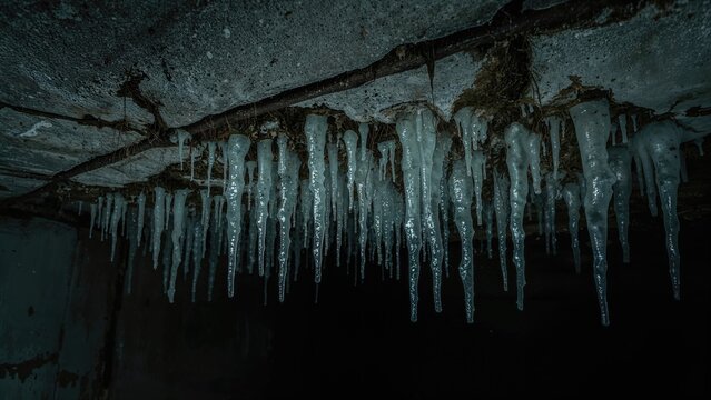 Fine salcite icicle-like structures adorning the ceiling of a vintage air-raid shelter
