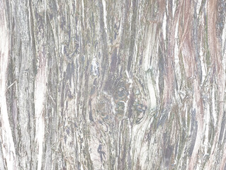 Structure of the bark of a sequoia tree as an overlay with a transparent background. PNG.