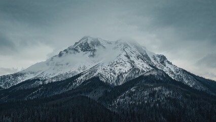 Obraz premium A bleak perspective of a snowy peak surrounded by forest under gray clouds