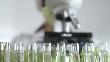 Close up of test tubes with a scientist analyzing plant samples in test tubes with a microscope in...
