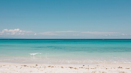 Scenic tropical coastline with clear blue sky and pristine sandy shore