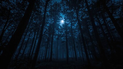 Obraz premium Lunar glow over a dense, dark forest