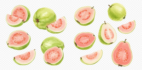 A collection of fresh pink guavas, shown whole, cut in half, and in slices on a transparent background.