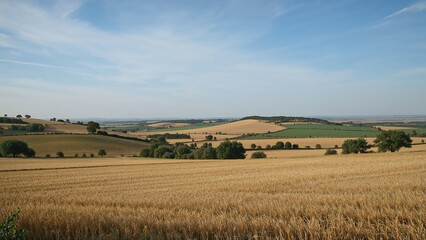 Obraz premium Unadorned Countryside Across Expansive Farmlands
