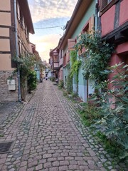 narrow street in the old town of Eguisheim