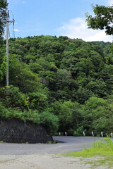岐阜県揖斐川町のカーブしている道と森