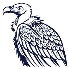 eagle vector illustration