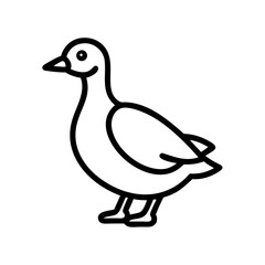 duck isolated on white