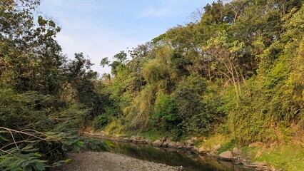 A horizontal shot of a calm, reflective river flowing through a lush, dense forest. The scene is green and overgrown with a clear sky visible above the trees, giving it a peaceful, natural feel.
