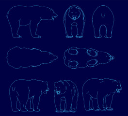 Polar bear outlines in white stand out against a dark blue background. The clean contour design features varied poses and sizes. Simple yet striking vector-style illustration.