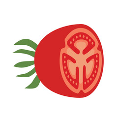 vector illustration of half tomato. fresh vegetable.
