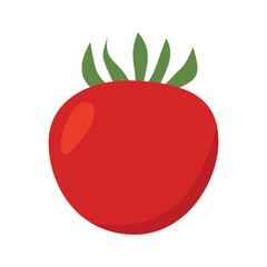 vector illustration of tomato