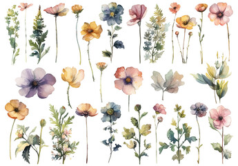 Vector watercolor painted style - flowers clipart isolated on white background.