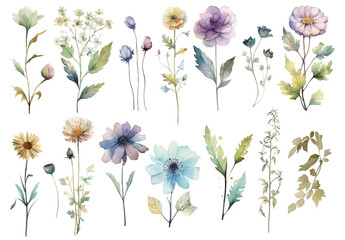 Vector watercolor painted style - flowers clipart isolated on white background.
