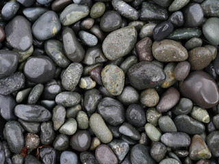 Close-up texture of smooth wet pebbles in various shades of grey, green, and brown, creating a natural and organic background.Close-up texture of smooth wet pebbles in various shades of grey, green, a