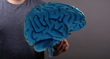 3D brain model in a person's hand.  Ideal for neurology, medicine, or AI concepts.