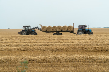 Tractors gathering hay rolls on a farmland.