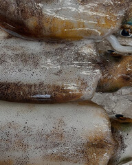 Fresh squid displayed on a bed of ice.