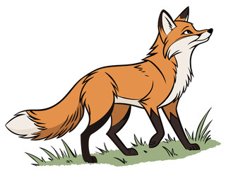 Animated red fox character stands alert in grassy meadow. A cheerful, cartoon-style red fox character stands alert on a grassy knoll, looking to the side.