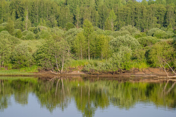 Landscape with a lake