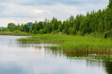 Fototapeta premium summer landscape with lake