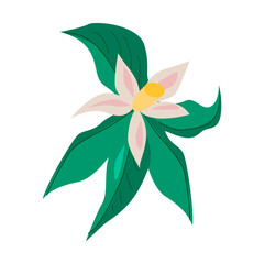 Orange blossom flower illustration with green leaves