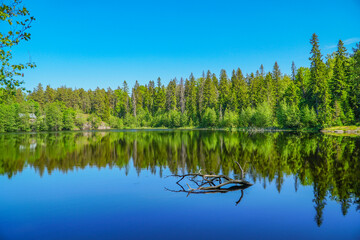 Obraz premium Picturesque landscape with reflection in water