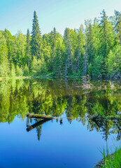 Picturesque landscape with reflection in water
