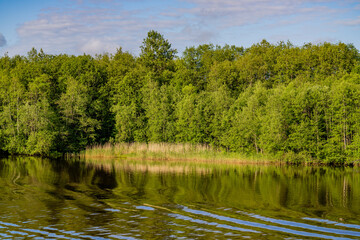 summer landscape with lake