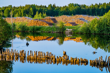 Picturesque landscape with reflection in water