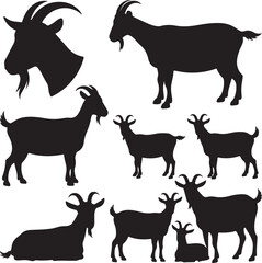 Eight Black Goat Silhouettes and Head Profile on White Background animal