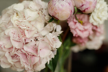 Close-up of delicate pink hydrangeas and peonies. Perfect for floral, wedding, or spring themes.