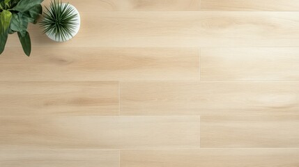 Light Wood Flooring with Potted Plant and Natural Decor Elements