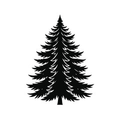Obraz premium Pine Tree Evergreen Vector Silhouette On White Background