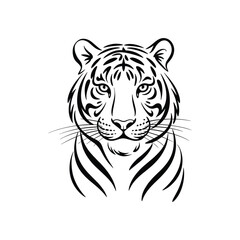 Fierce tiger face detailed black and white line art animal wildlife