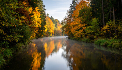 Obraz premium Autumn River Reflection with Misty Forest.