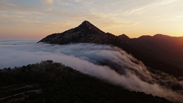 Aerial drone video of a forested mountain peak in Spain, bathed in warm sunlight, emerging above dense clouds at sunrise.