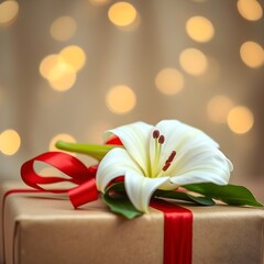 gift box with ribbon