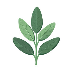 Geometric-style flat vector illustration of sage leaves, abstract 2D modern design with clean, smooth shapes, isolated on a white background
