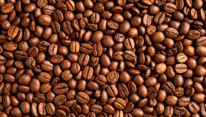 Fototapeta premium Roasted Coffee Beans Texture.