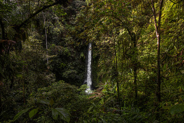 Waterfall @ Kerinci, Indonesia