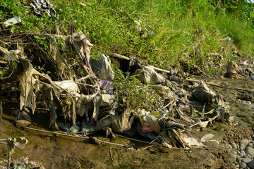 Pollution Along the Riverbank Surrounded by Vegetation