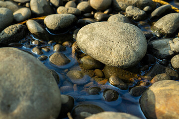 Close-Up of Smooth Pebbles Surrounded by Clear Water
