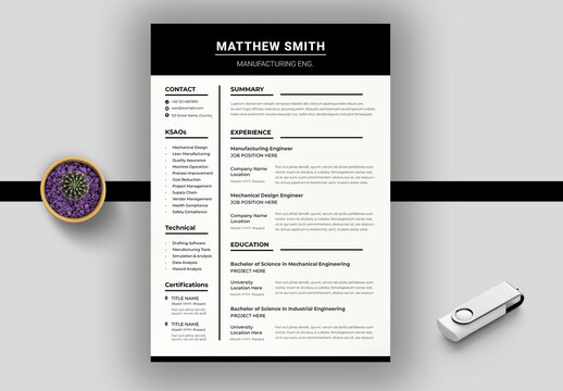 Professional Resume For International Job Seekers