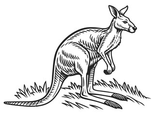 Obraz premium Cute cartoon kangaroo mom and joey in a playful setting. A cheerful cartoon illustration of a kangaroo mother and her joey. kangaroo, joey, mother and baby, cartoon, children's, illustration, cute, an