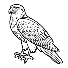 A black and white hawk illustration line art of a coloring page 