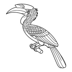 A black and white hornbill bird illustration line art of a coloring page  © siful art