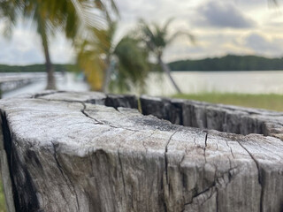 wooden boat bridge	
